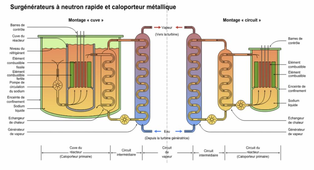 Schéma comparatif des réacteurs nucléaires à neutrons rapides en configurations cuve et boucles.