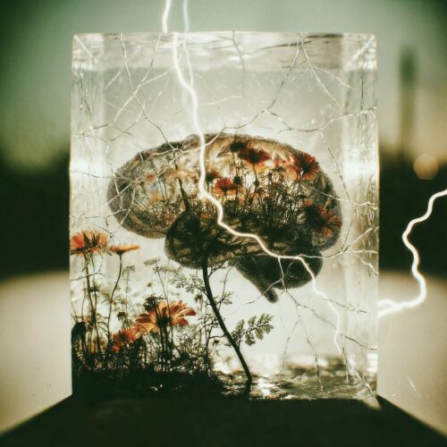 Un cerveau humain emprisonné dans un bloc de glace avec des fleurs et un éclair.