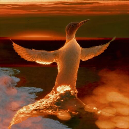 Un oiseau aquatique déploie ses ailes sur une eau dorée au coucher du soleil.