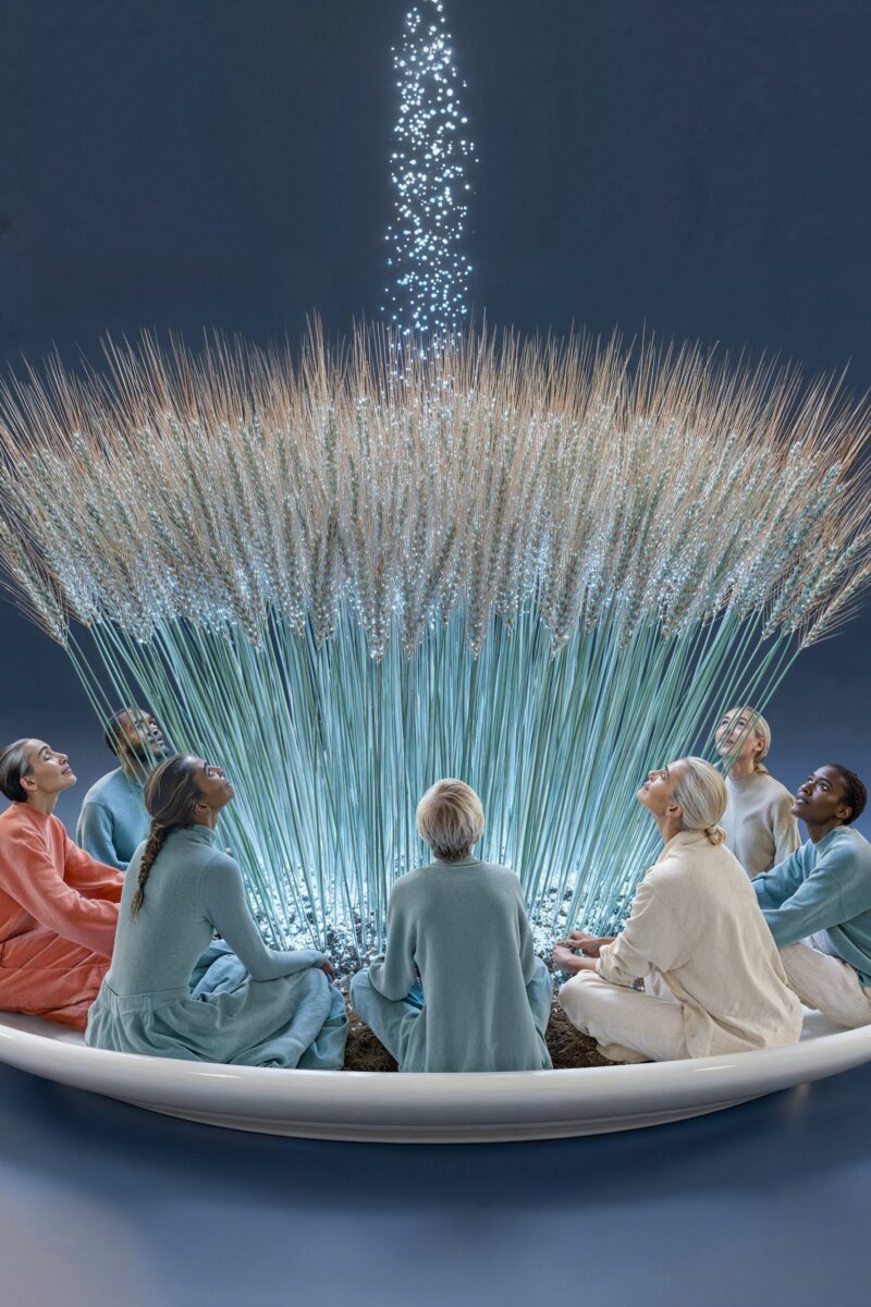 Un groupe de personnes assises en cercle autour d'un bouquet de blé d'où s'élève une colonne de lumière.