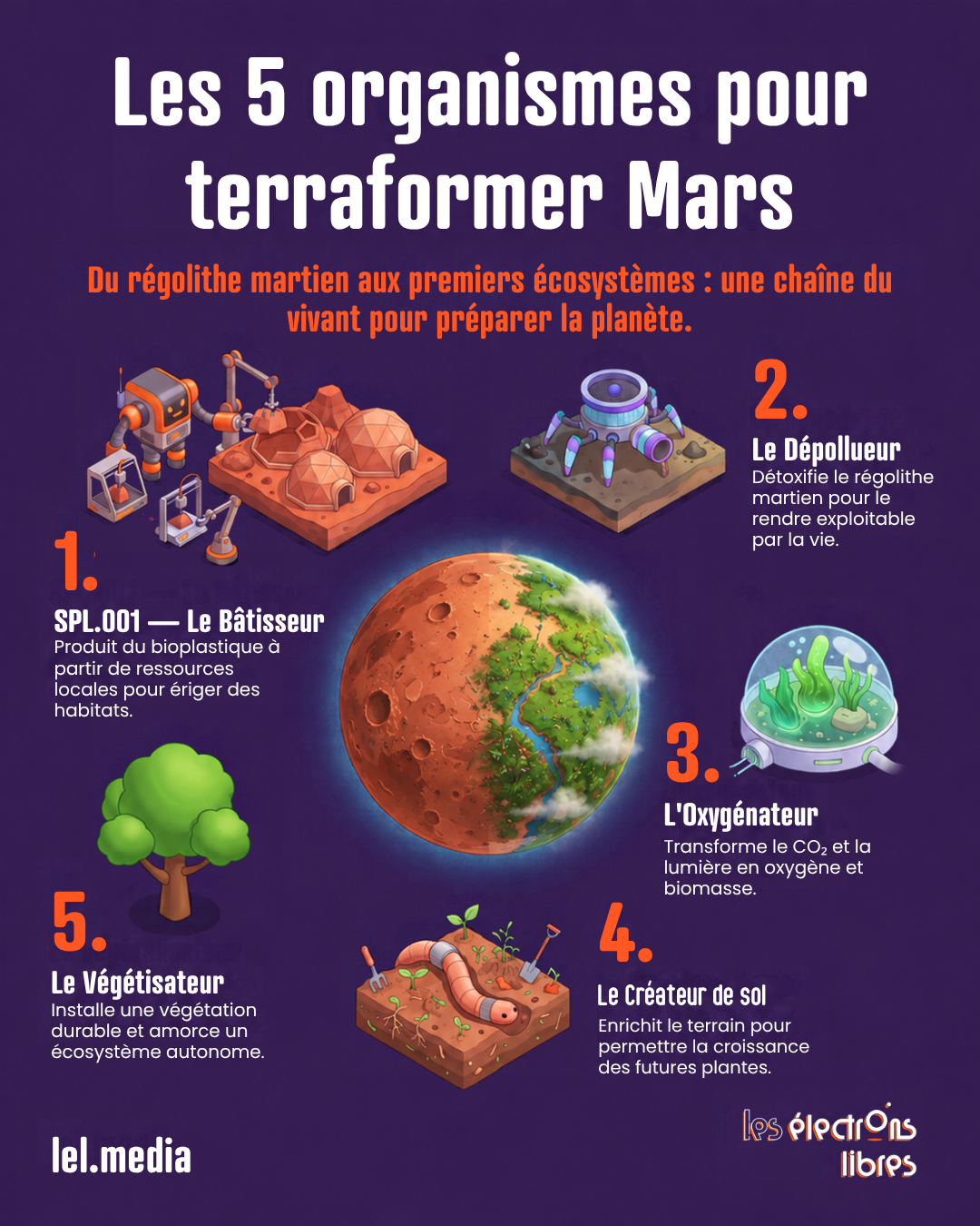 Infographie synthétisant les cinq organismes nécessaires pour terraformer la planète Mars, du régolithe aux premiers écosystèmes.